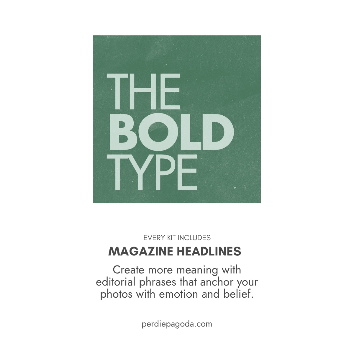 Bold typographic design reading The Bold Type on a textured green background, representing confidence, creative voice, and expressive storytelling through hobbies and personal interests.