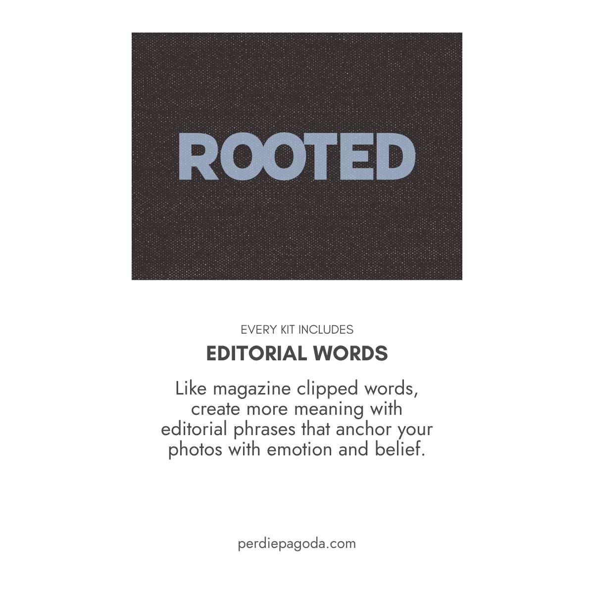 Typography word tile reading rooted on a textured background, symbolizing stability, grounding, and a sense of home.