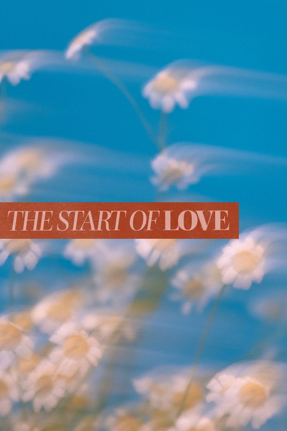 Dreamy floral image with soft blue tones and daisies featuring the phrase “the start of love,” representing new beginnings, tenderness, and emotional openness.