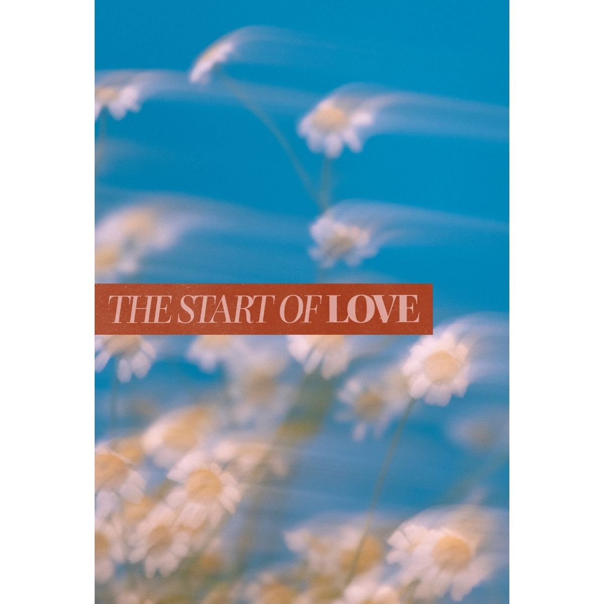 Dreamy floral image with soft blue tones and daisies featuring the phrase “the start of love,” representing new beginnings, tenderness, and emotional openness.